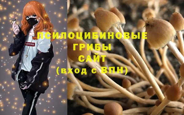 a pvp Алексин